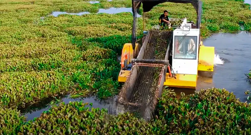 Varieties of Aquatic Weed Harvester models